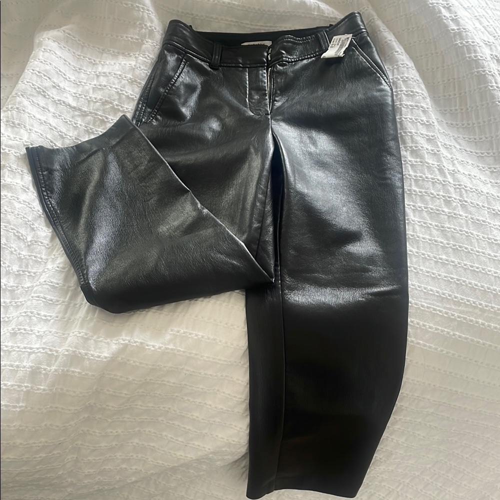 Babaton Aritzia Black Leather pants